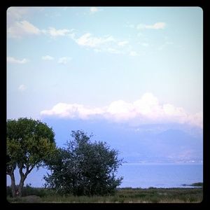 Meet your Posher, Rayy